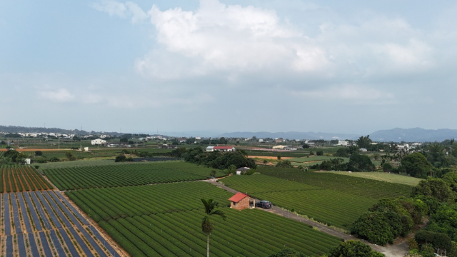 名間名崗國小旁鄰路茶園農地